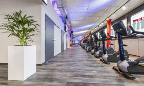 Belcolor Belco Design55 Fitness Center Cleverfit Frauenfeld 4039