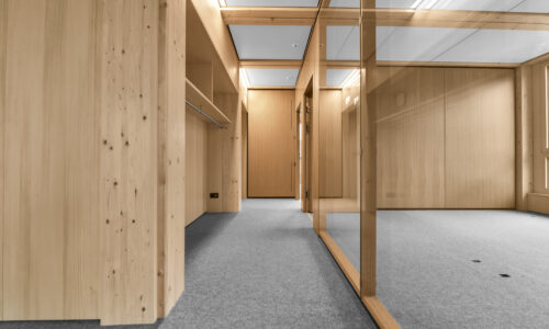 Belcolor Tretford Interlife 538 aluminium 0045