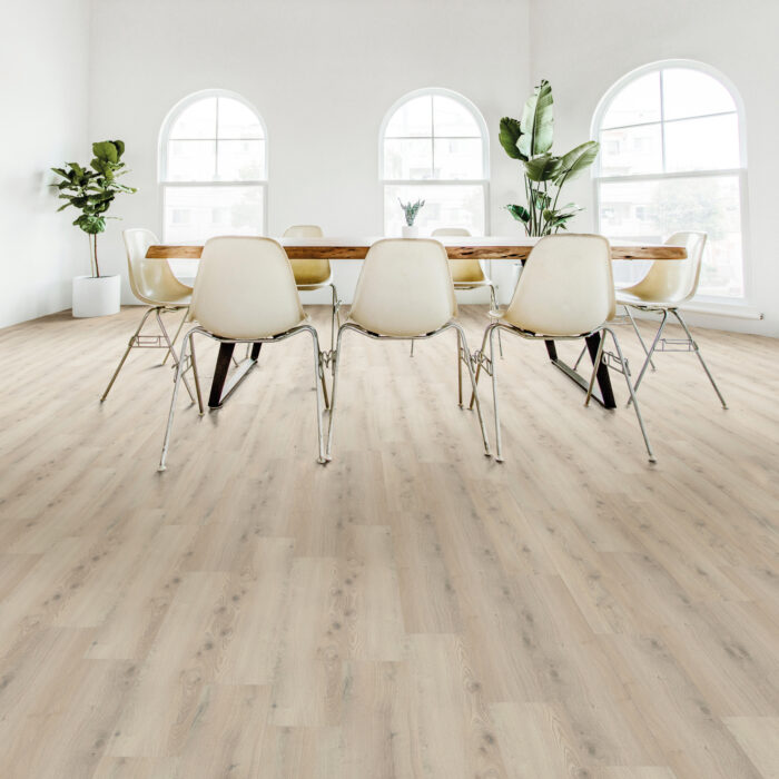 Rock40 6435 17 plymouth AMB MON HD Fogra39